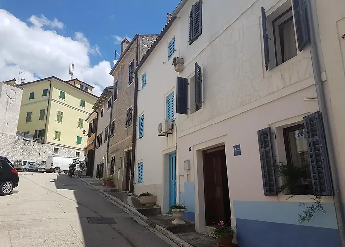 Ivanis * 브르사르